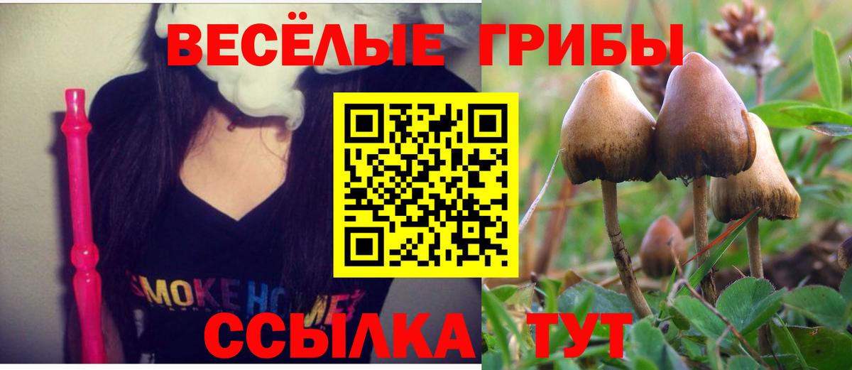 Печора  Галлюциногенные грибы GOLDEN TEACHER  Вход с VPN  Галлюциногенные грибы Psilocybine cubensis 