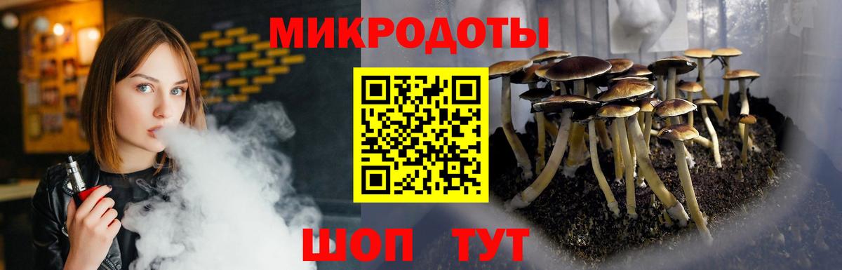 Псилоцибиновые грибы прущие грибы Печора